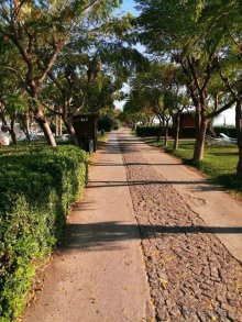 Лимак Лимра понравился на 100%