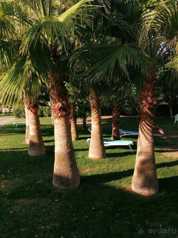 Лимак Лимра понравился на 100%