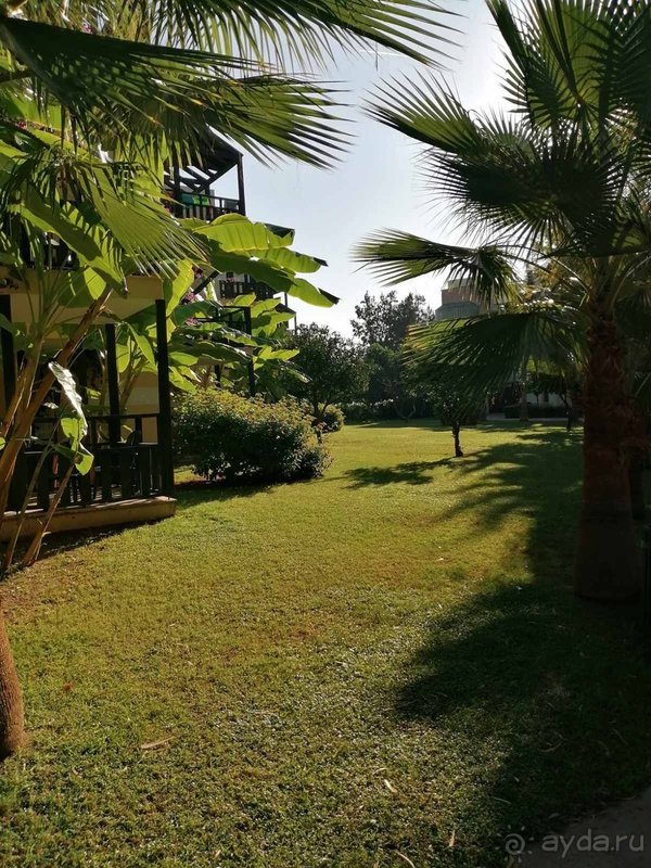 Лимак Лимра понравился на 100%