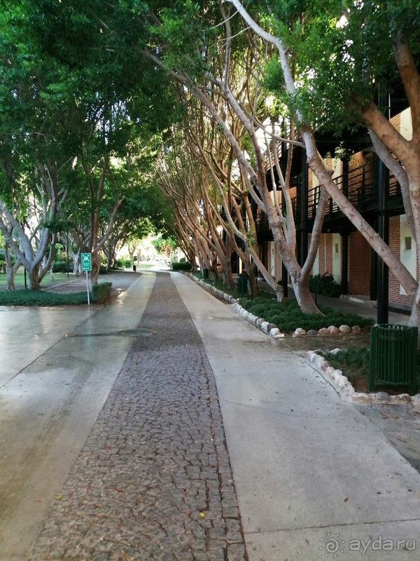 Лимак Лимра понравился на 100%