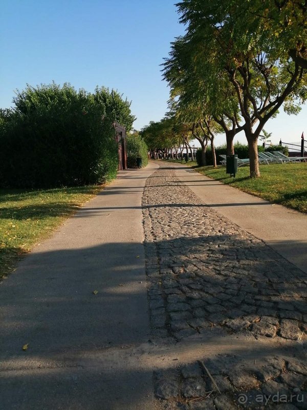 Лимак Лимра понравился на 100%