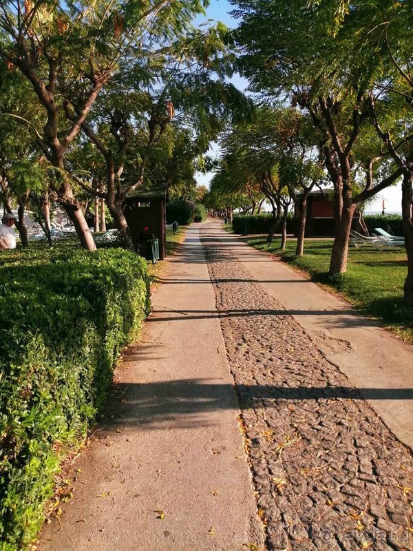 Лимак Лимра понравился на 100%