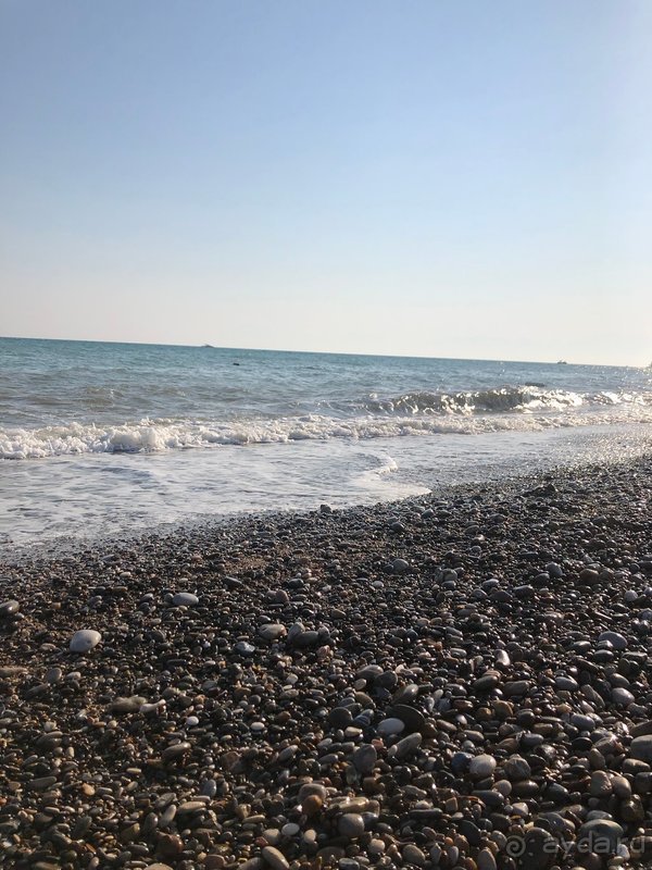 Selectum - отель для отдыха с семьей. 