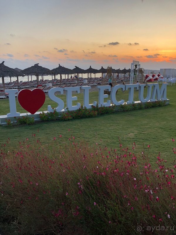 Отличный сервис и персонал!👍