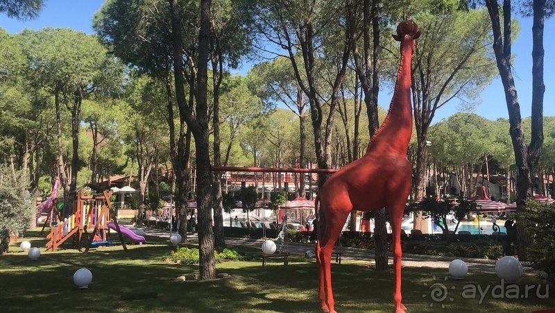 Отличный сервис и персонал!👍