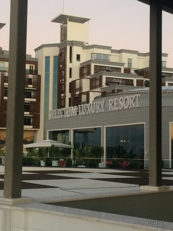 Годовщина свадьбы 🌸🌺🌼