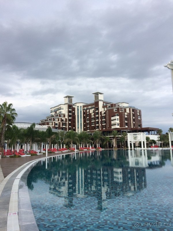 Годовщина свадьбы 🌸🌺🌼