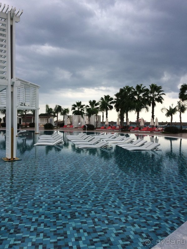 Годовщина свадьбы 🌸🌺🌼