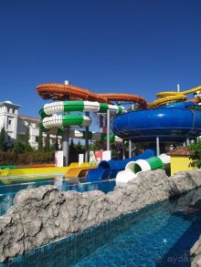 Годовщина свадьбы 🌸🌺🌼