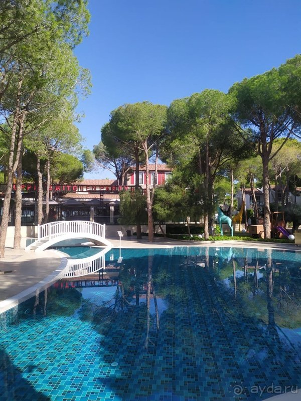 Годовщина свадьбы 🌸🌺🌼