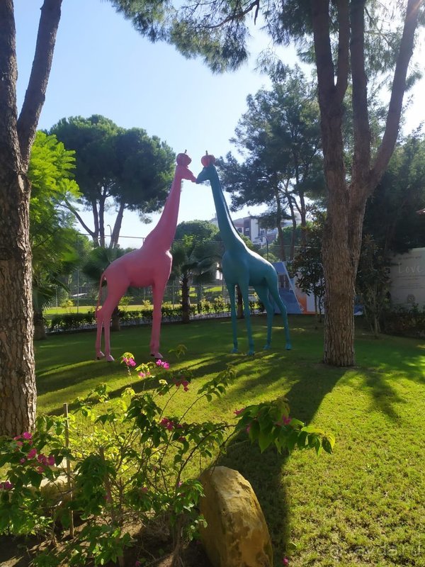 Годовщина свадьбы 🌸🌺🌼