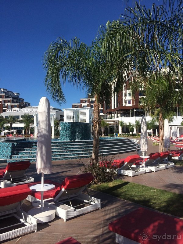 Годовщина свадьбы 🌸🌺🌼