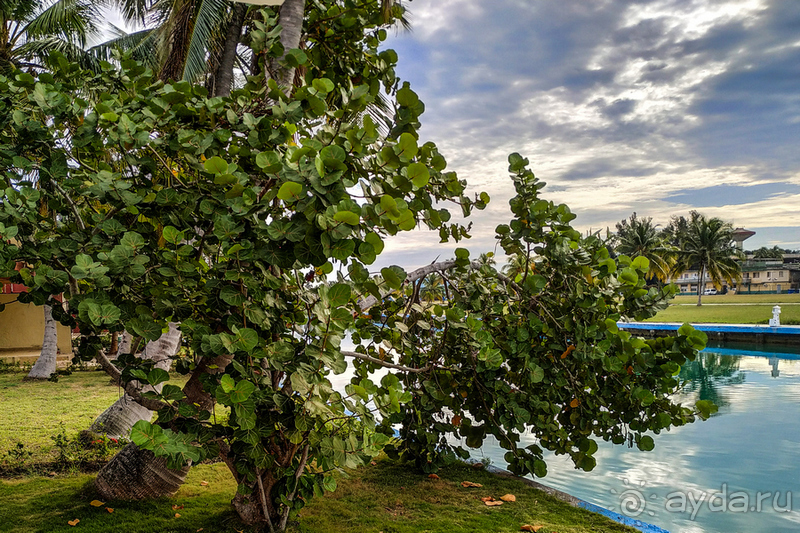 Отличный отель с системой "Все включено" для бюджетного размещения в Гаване