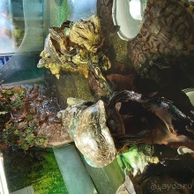 Курорт Красная Поляна, Сочи, октябрь 2019 г.