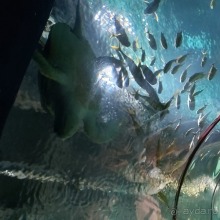 Курорт Красная Поляна, Сочи, октябрь 2019 г.