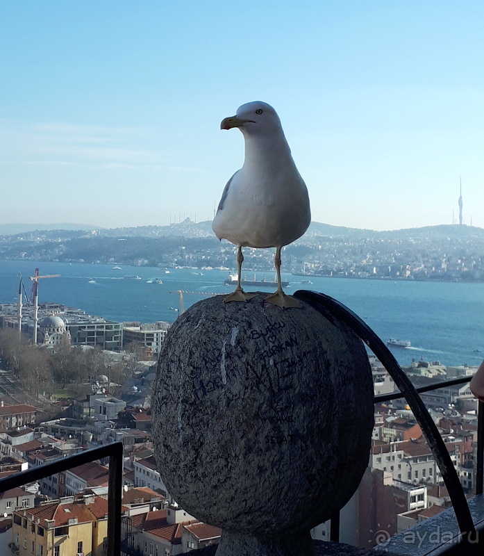 Стамбул зимой