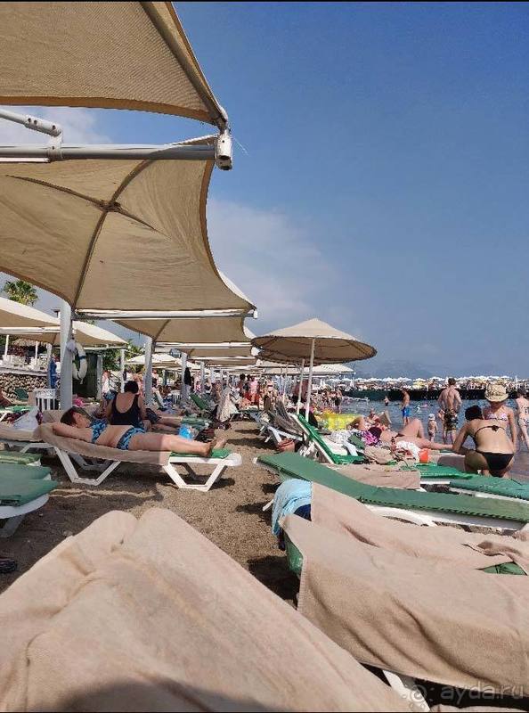 На вкус и цвет)