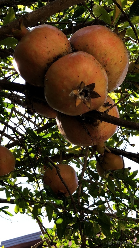 За спокойным и семейным отдыхом...