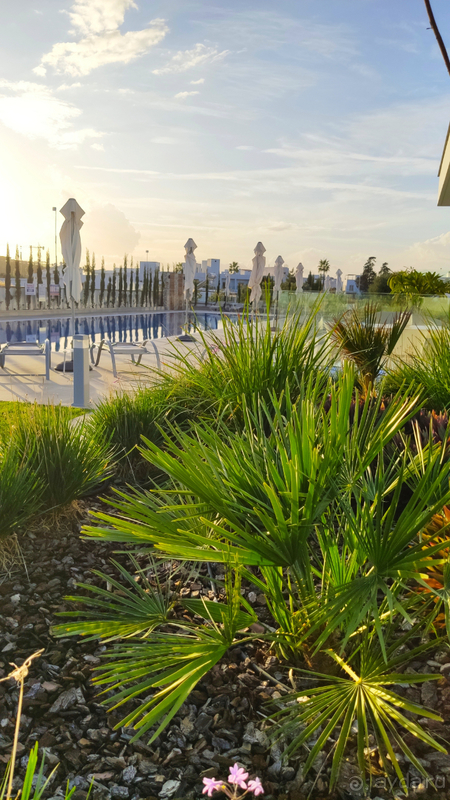 фото Napa Gem Luxury Suites