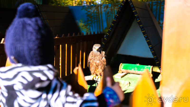 Отличный парк при замке «Богатырь»