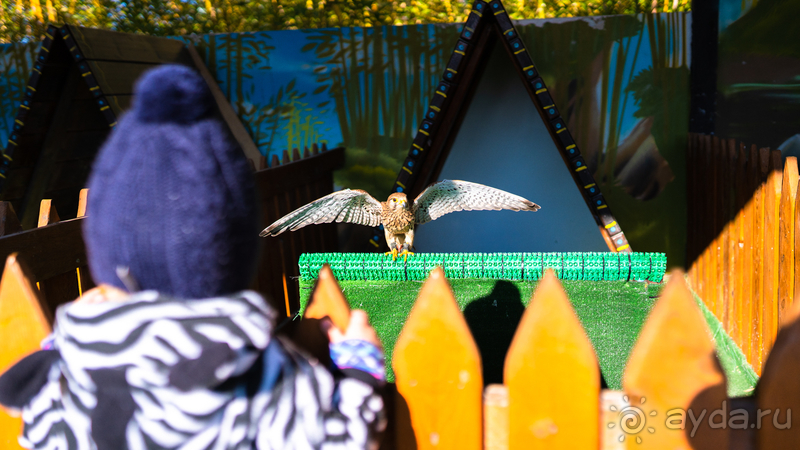 Отличный парк при замке «Богатырь»