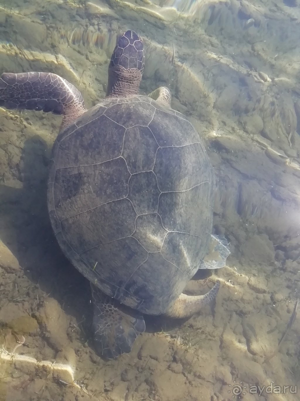 Мармарис Парк - это здорово, но....