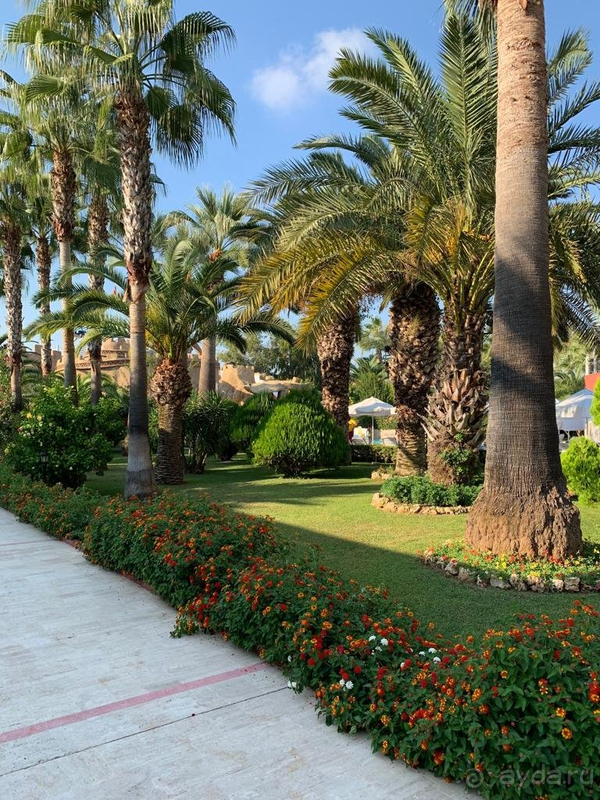 Очень много негативных моментов!