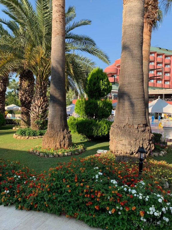 Очень много негативных моментов!