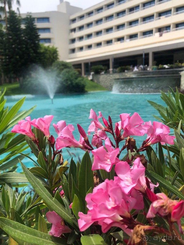 Подойдёт больше семейным парам с детьми