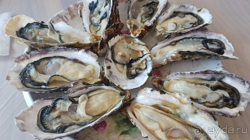 Пусан - море, пляж и солнце