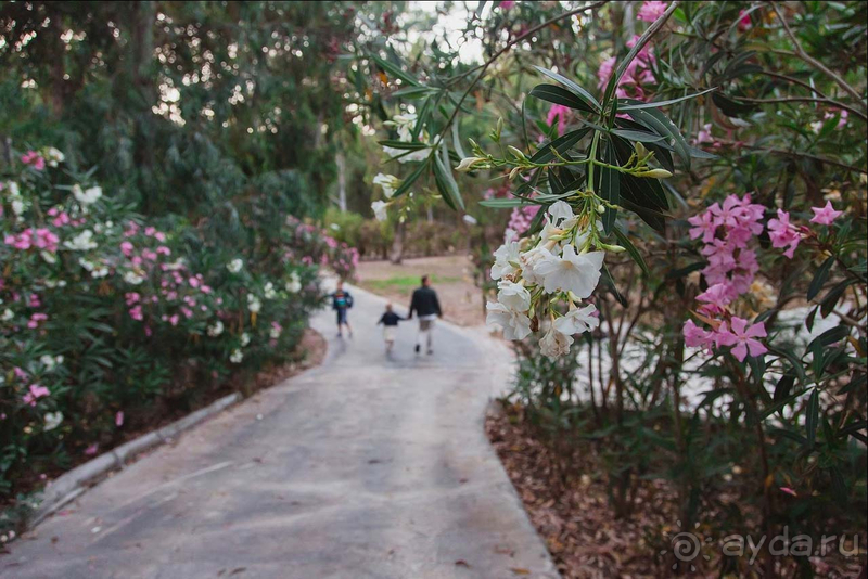 Любимый отель!