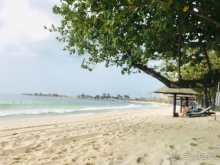 Альбом истории "Европейская эстетика"