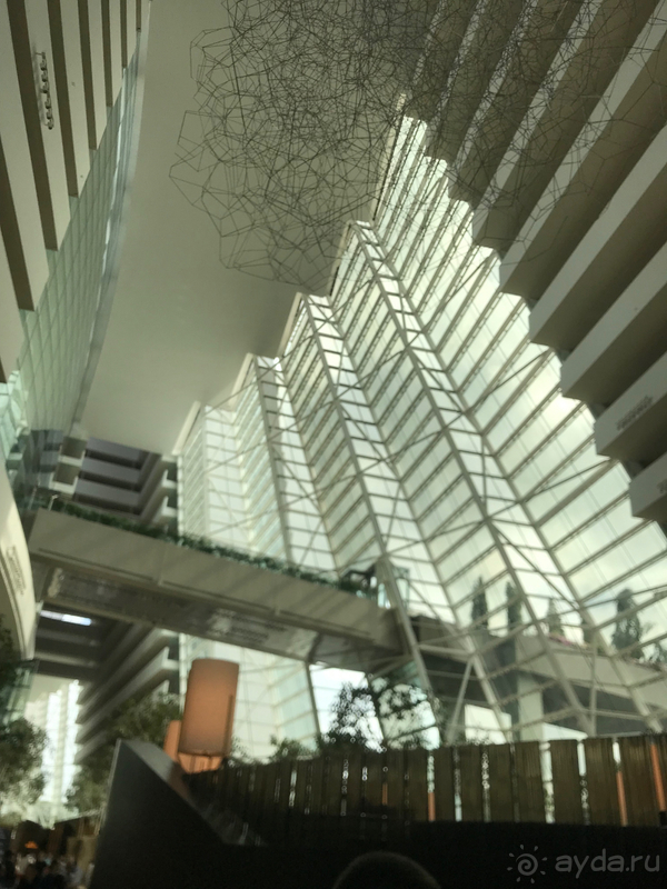 Отдых, стоящий своих денег