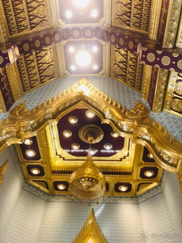 Экзотический круиз