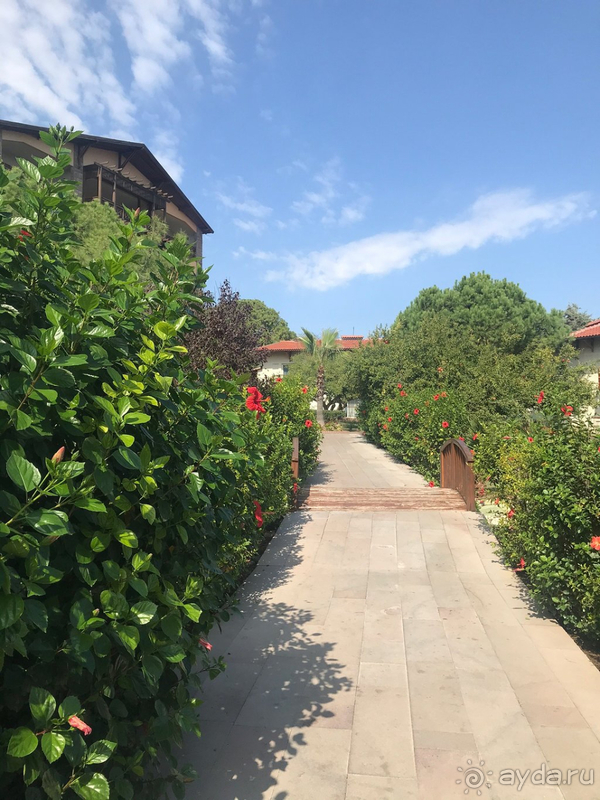 Огонь! 🔥🔥🔥 Огонь! 🔥🔥🔥