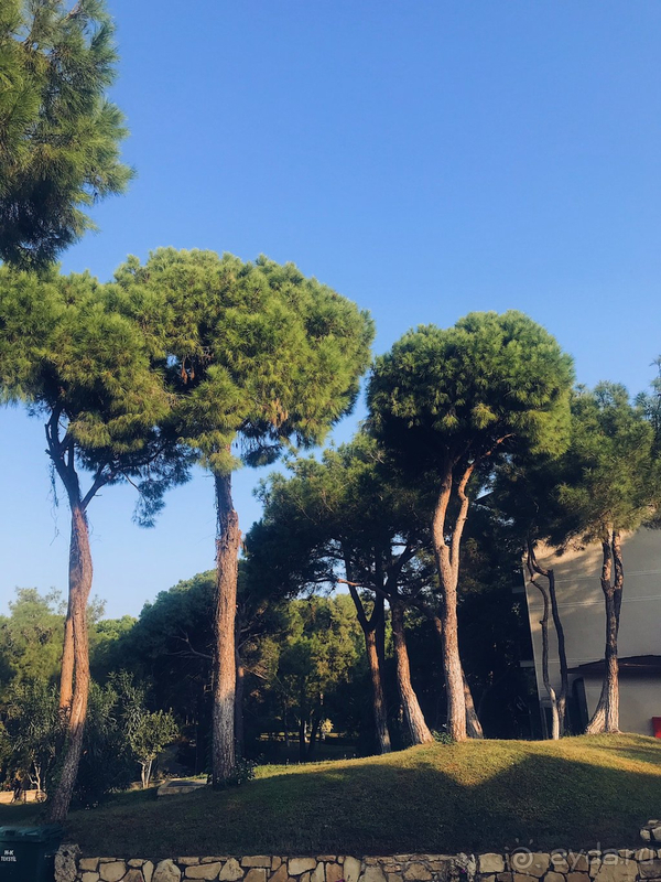 Огонь! 🔥🔥🔥