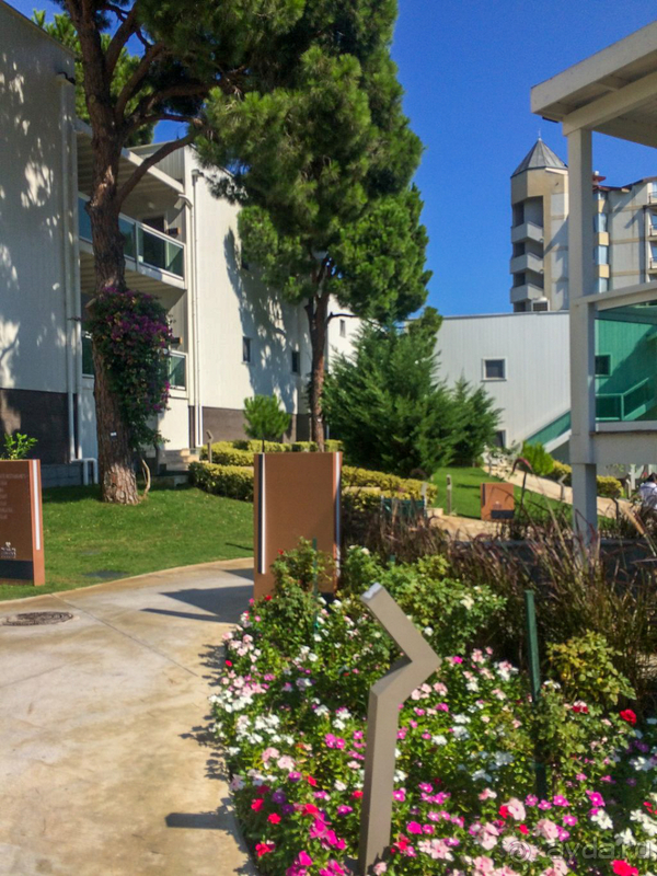 Я в восторге!