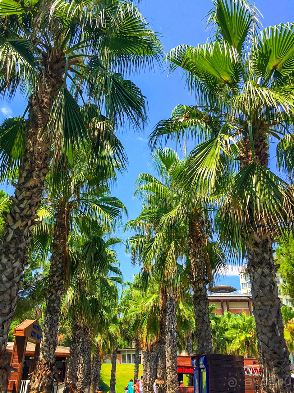 Отдых на УРА!