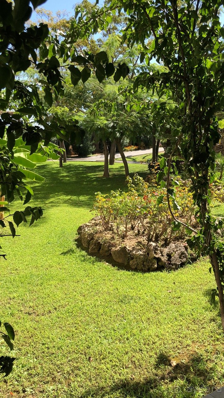 Твёрдая турецкая 3-ка по цене 5-ки.