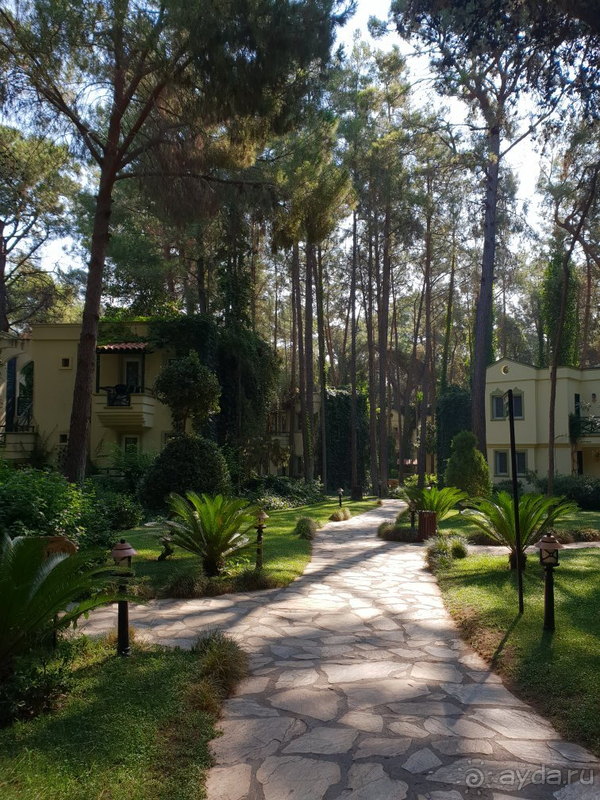 Вё супер, кроме еды, хоть со своей едь 😁