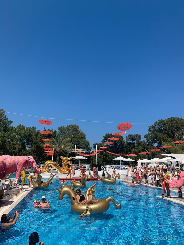 Отель пафосный, не более того.