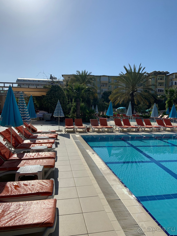 Не понимаю, кто пишет плохие отзывы