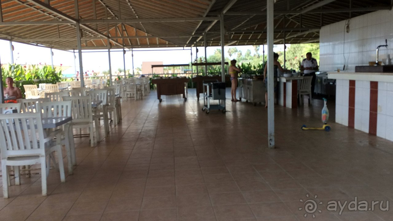 Плесень и грязь.