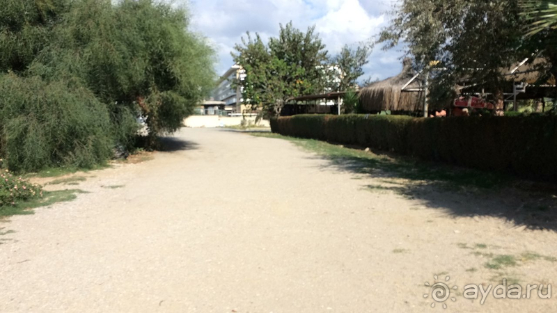 Плесень и грязь.