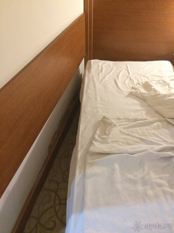 Плесень и грязь.