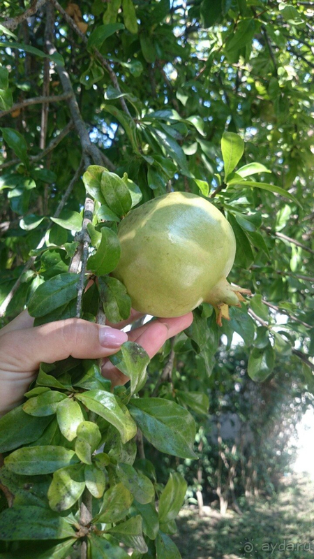 Club Nena - хорошо!