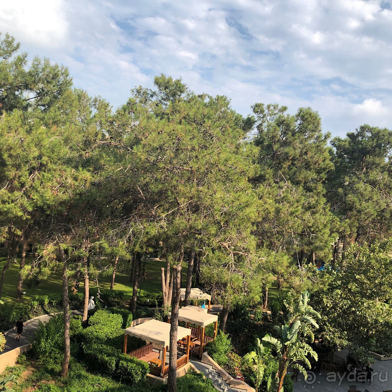 Не стоит... бюджетная пятерка