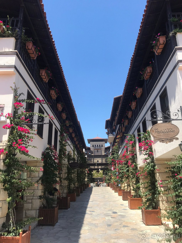 Paloma Grida оставляет прекрасное послевкусие!