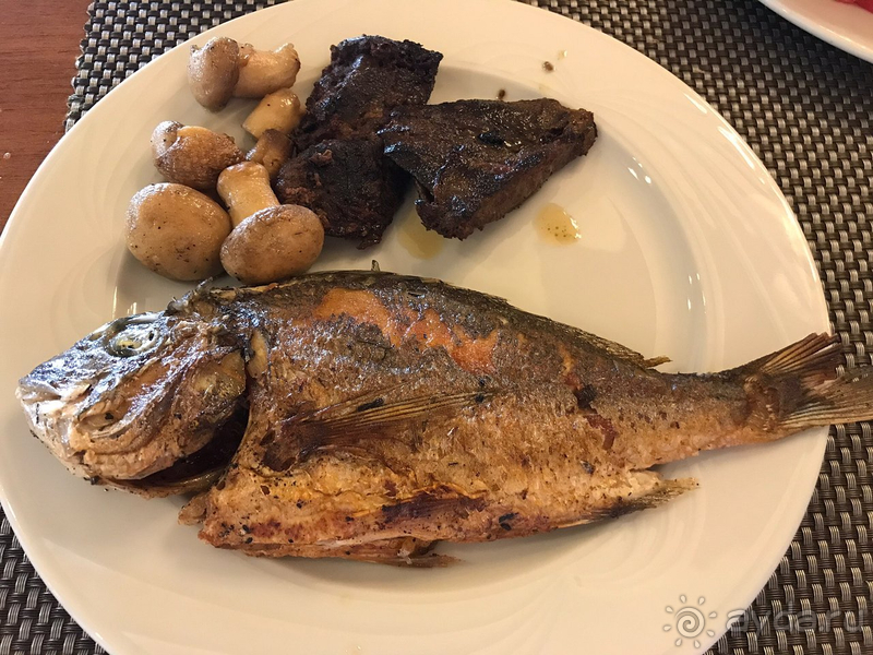 Paloma Grida оставляет прекрасное послевкусие!