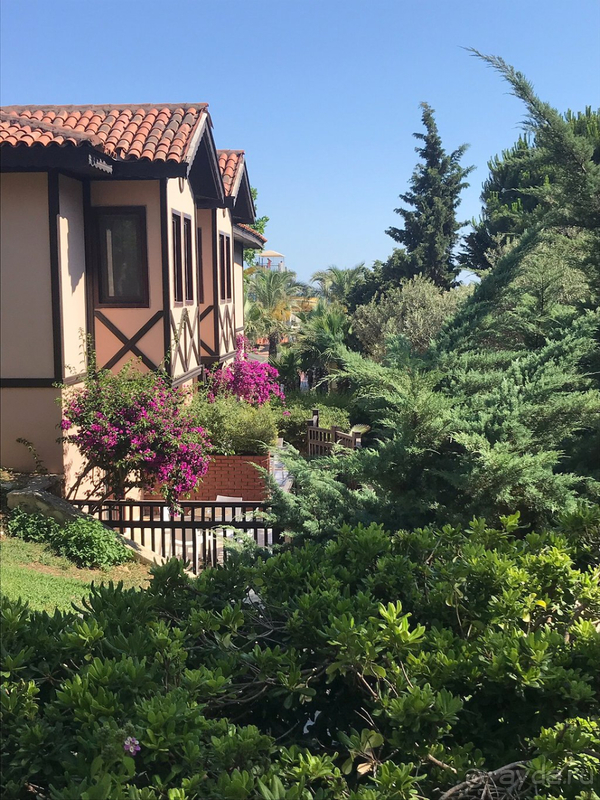 Paloma Grida оставляет прекрасное послевкусие!